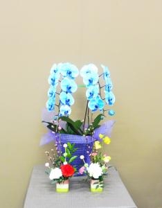 3月3日　楽しいひなまつり｜「フラワーショップ花利」　（大阪府羽曳野市の花キューピット加盟店 花屋）のブログ